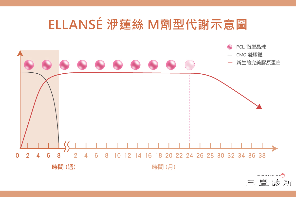 配圖七-唯長膠原蛋白獨尊？