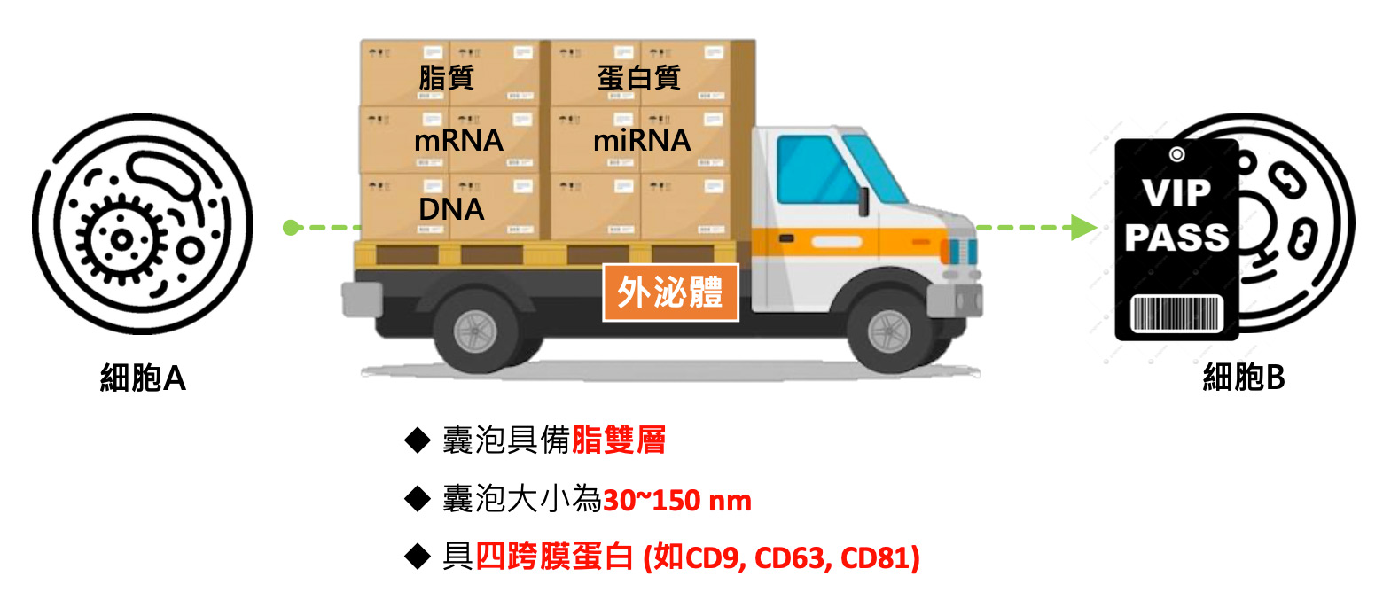 外泌體介紹2