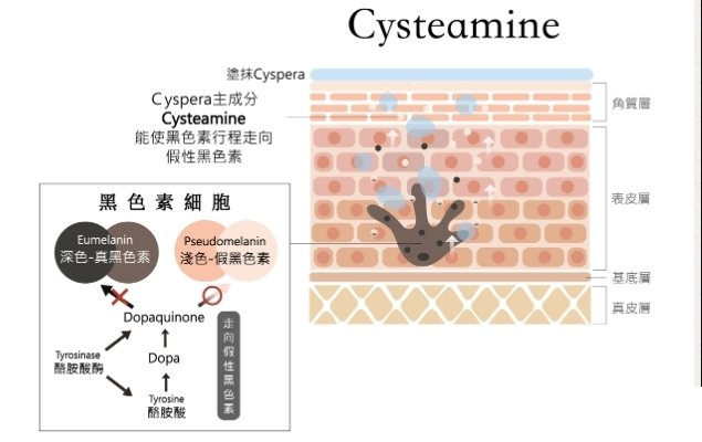 Cysteamine_no_IBA