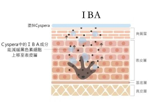 IBA_no_box