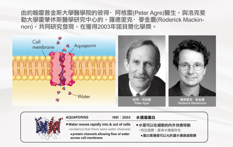 AQP4